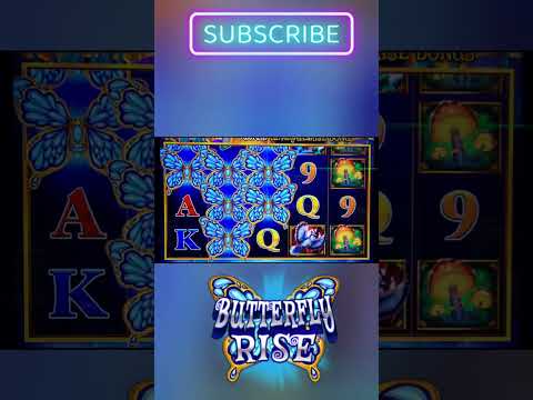 Spin Rise Live-Casino